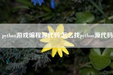 python游戏编程源代码,怎么找python源代码