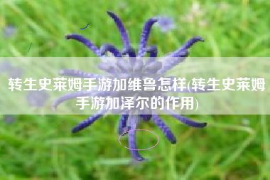 转生史莱姆手游加维鲁怎样(转生史莱姆手游加泽尔的作用)