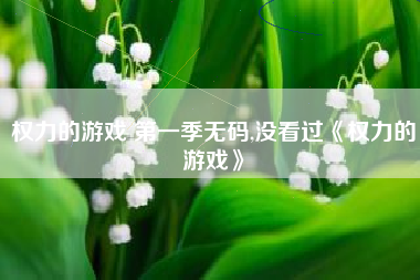 权力的游戏 第一季无码,没看过《权力的游戏》