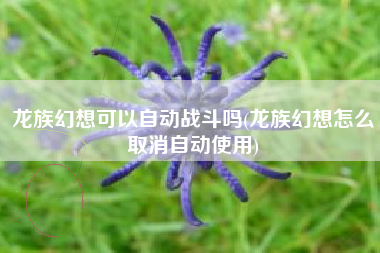 龙族幻想可以自动战斗吗(龙族幻想怎么取消自动使用)