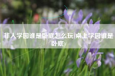 非人学园谁是卧底怎么玩(桌上学园谁是卧底)