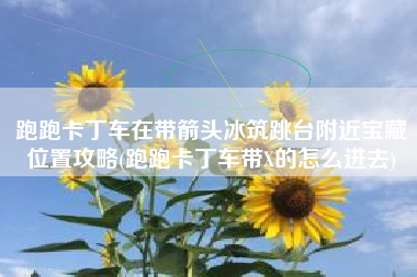 跑跑卡丁车在带箭头冰筑跳台附近宝藏位置攻略(跑跑卡丁车带X的怎么进去)