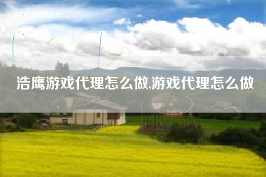 浩鹰游戏代理怎么做,游戏代理怎么做