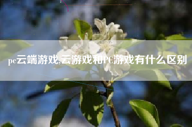 pc云端游戏,云游戏和PC游戏有什么区别