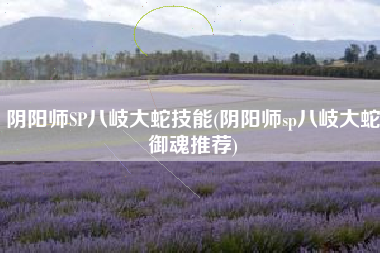 阴阳师SP八岐大蛇技能(阴阳师sp八岐大蛇御魂推荐)
