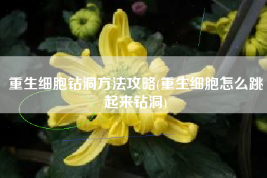 重生细胞钻洞方法攻略(重生细胞怎么跳起来钻洞)