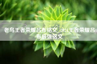 老鸟王者荣耀吕布铭文_2021王者荣耀吕布最强铭文