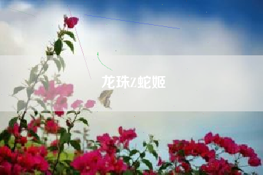 龙珠Z蛇姬