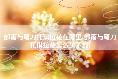 部落与弯刀托琪拉花在哪里(部落与弯刀托琪拉花怎么买不到)