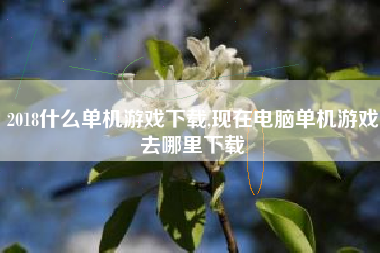 2018什么单机游戏下载,现在电脑单机游戏去哪里下载