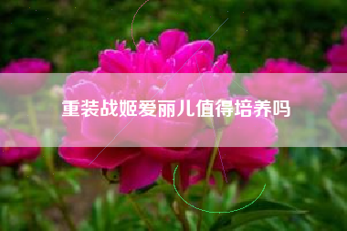 重装战姬爱丽儿值得培养吗