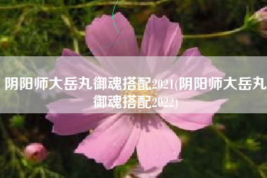 阴阳师大岳丸御魂搭配2021(阴阳师大岳丸御魂搭配2022)