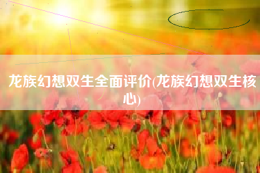 龙族幻想双生全面评价(龙族幻想双生核心)
