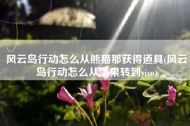风云岛行动怎么从熊猫那获得道具(风云岛行动怎么从苹果转到vivo)