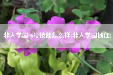 非人学园06号技能怎么样(非人学园杨任)