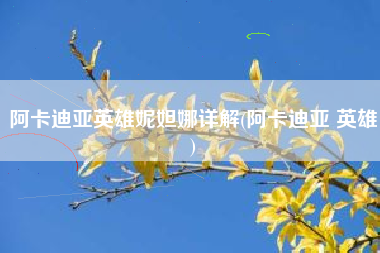 阿卡迪亚英雄妮妲娜详解(阿卡迪亚 英雄)
