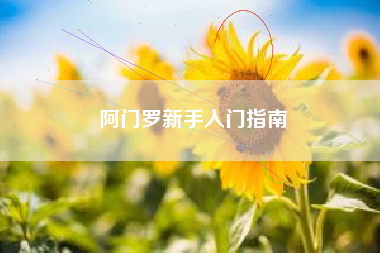 阿门罗新手入门指南