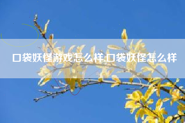 口袋妖怪游戏怎么样,口袋妖怪怎么样