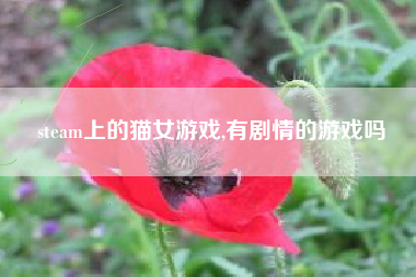 steam上的猫女游戏,有剧情的游戏吗