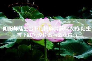 阴阳师陆生雪下红梅碎片获取攻略(陆生雪下红梅碎片该怎么获得())
