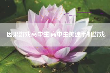 因果游戏高中生,高中生痴迷手机游戏