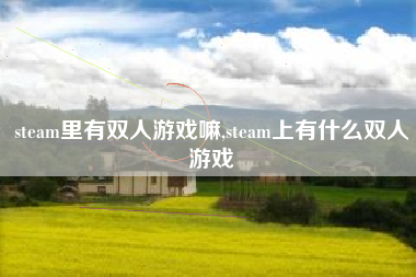 steam里有双人游戏嘛,steam上有什么双人游戏