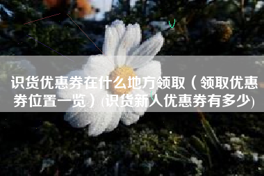 识货优惠券在什么地方领取（领取优惠券位置一览）(识货新人优惠券有多少)