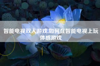 智能电视双人游戏,如何在智能电视上玩体感游戏