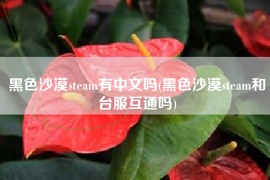 黑色沙漠steam有中文吗(黑色沙漠steam和台服互通吗)