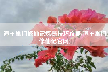 道王掌门修仙记炼器技巧攻略(道王掌门修仙记官网)