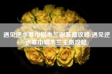 遇见逆水寒巾帼木兰谢荼蘼攻略(遇见逆水寒巾帼木兰王岚攻略)