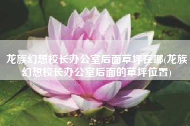 龙族幻想校长办公室后面草坪在哪(龙族幻想校长办公室后面的草坪位置)