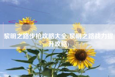 黎明之路步枪攻略大全(黎明之路战力提升攻略)