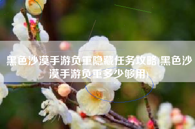 黑色沙漠手游负重隐藏任务攻略(黑色沙漠手游负重多少够用)