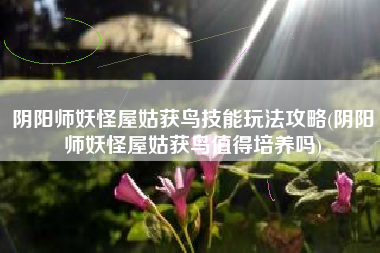 阴阳师妖怪屋姑获鸟技能玩法攻略(阴阳师妖怪屋姑获鸟值得培养吗)