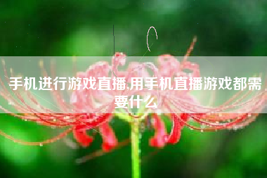手机进行游戏直播,用手机直播游戏都需要什么