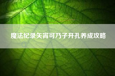 魔法纪录矢宵可乃子开孔养成攻略