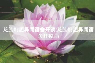 龙族幻想异闻宿舍开锁(龙族幻想异闻宿舍开锁53)