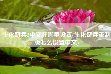 生化奇兵2中文在哪里设置(生化奇兵重制版怎么设置中文)