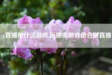 g直播是什么游戏,玩哪些游戏适合做直播