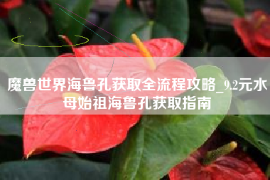 魔兽世界海鲁孔获取全流程攻略_9.2元水母始祖海鲁孔获取指南