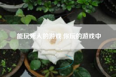 能玩死人的游戏,你玩的游戏中