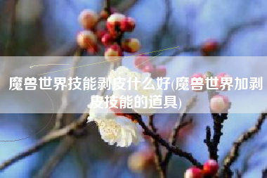 魔兽世界技能剥皮什么好(魔兽世界加剥皮技能的道具)