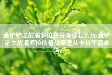 金铲铲之战潘多拉赛芬阵容怎么玩(金铲铲之战潘多拉的备战席是从卡片里面拿吗)