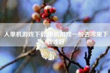人单机游戏下载,单机游戏一般去哪里下载才好