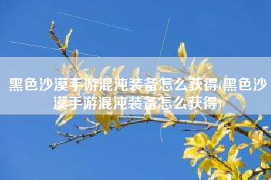 黑色沙漠手游混沌装备怎么获得(黑色沙漠手游混沌装备怎么获得)