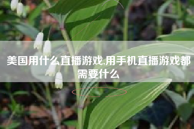 美国用什么直播游戏,用手机直播游戏都需要什么