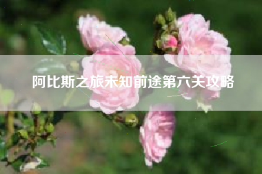 阿比斯之旅未知前途第六关攻略