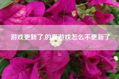 游戏更新了,的夏游戏怎么不更新了