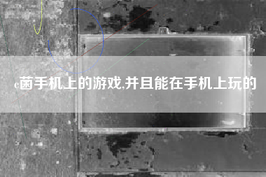 c菌手机上的游戏,并且能在手机上玩的